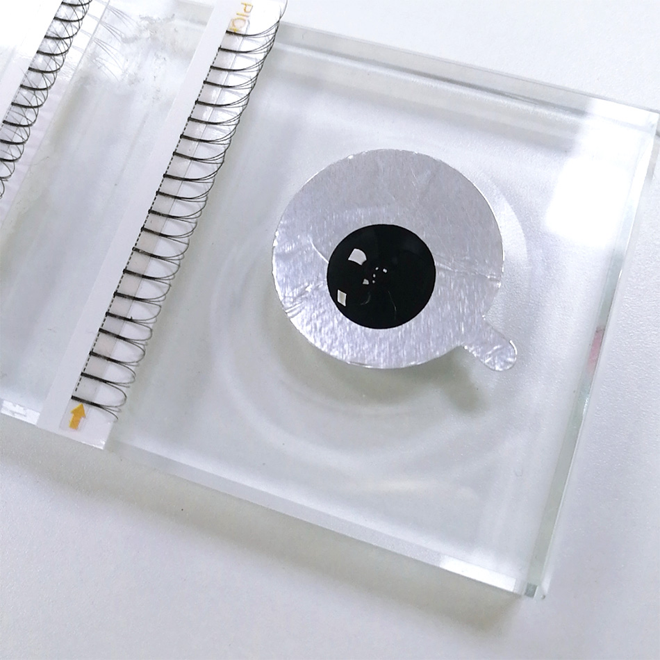 300Pcs/pack Disposable Waterpr – Lash Mapping Sticker recenzja i cena