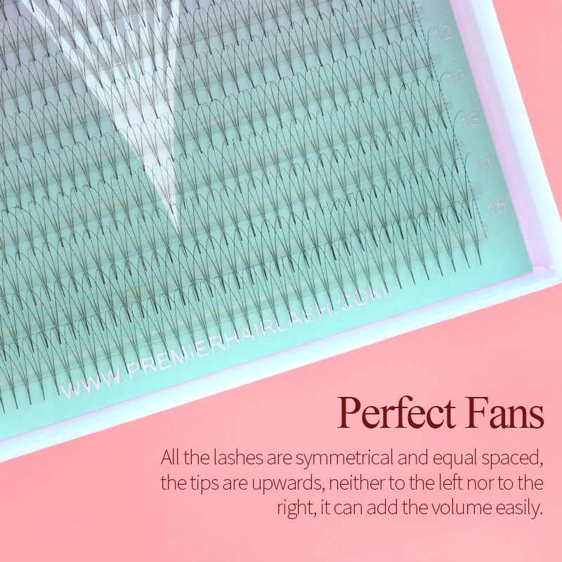 Song Lashes 3D8D10D Pointy Bas – Eyelash Extension Korean Style recenzja i cena